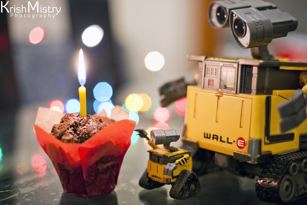 365 Project (365/365) Happy Birthday WALLE! 365 Project … Flickr
