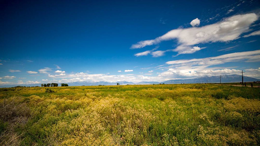 The wide open field towards the mountains. landscape … Flickr