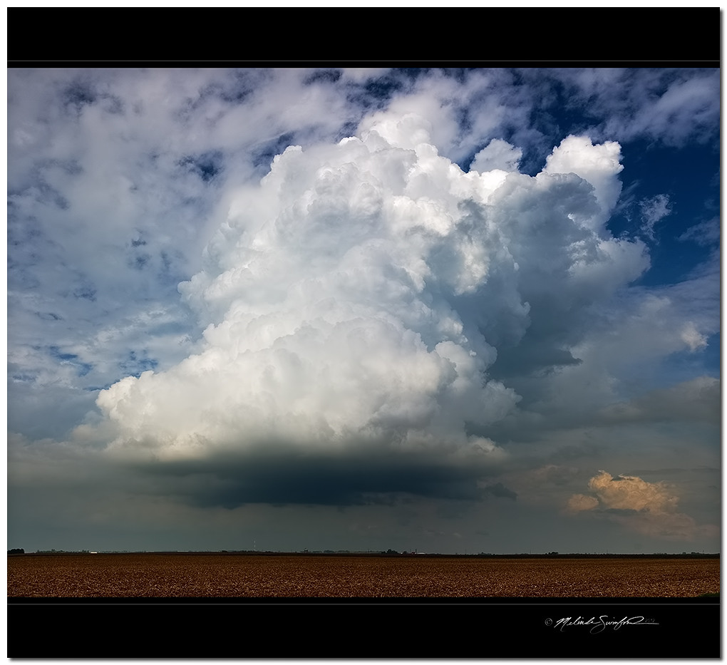 Camargo, Illinois cumulus congestus (storm in the making) Flickr