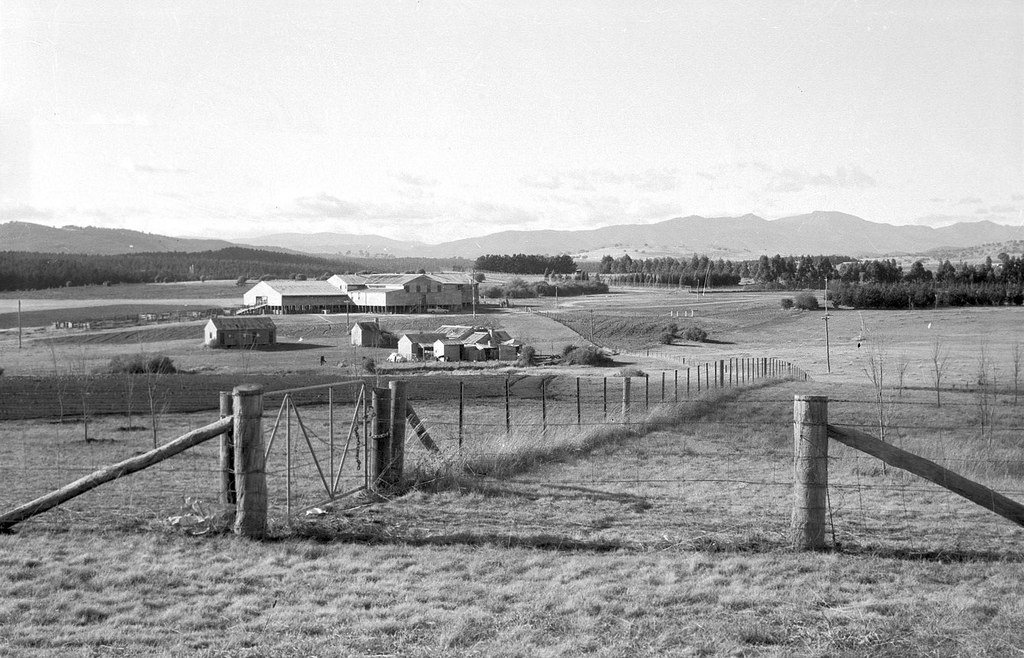 Cotter Road Woolshed Canberra 1969 Very difficult to see f… Flickr