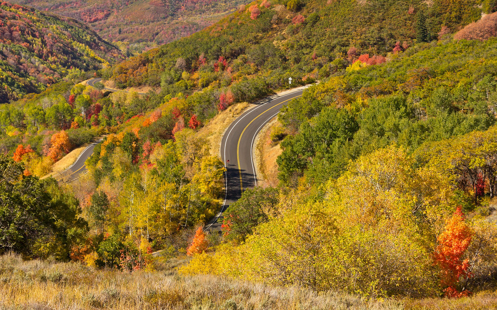 Autumn Mountain Road East Canyon in Utah's Wasatch Mountai