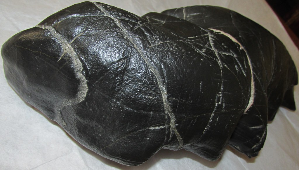 Carbonado Black Diamond Meteorite My specimen weighs 3,902… Flickr