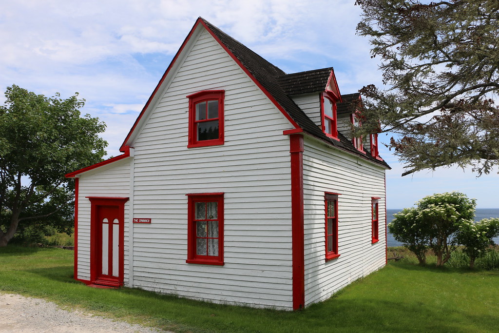 Tors Cove, NL alana r barnes Flickr