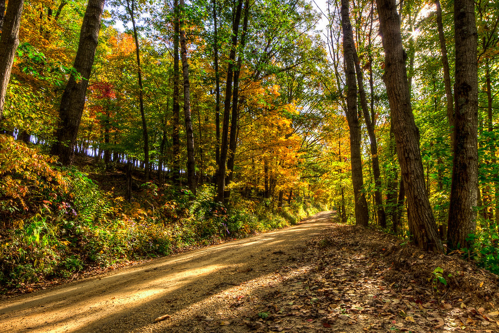 Elevation of Scenic Lane, Scenic Ln, Wauzeka, WI, USA Topographic Map