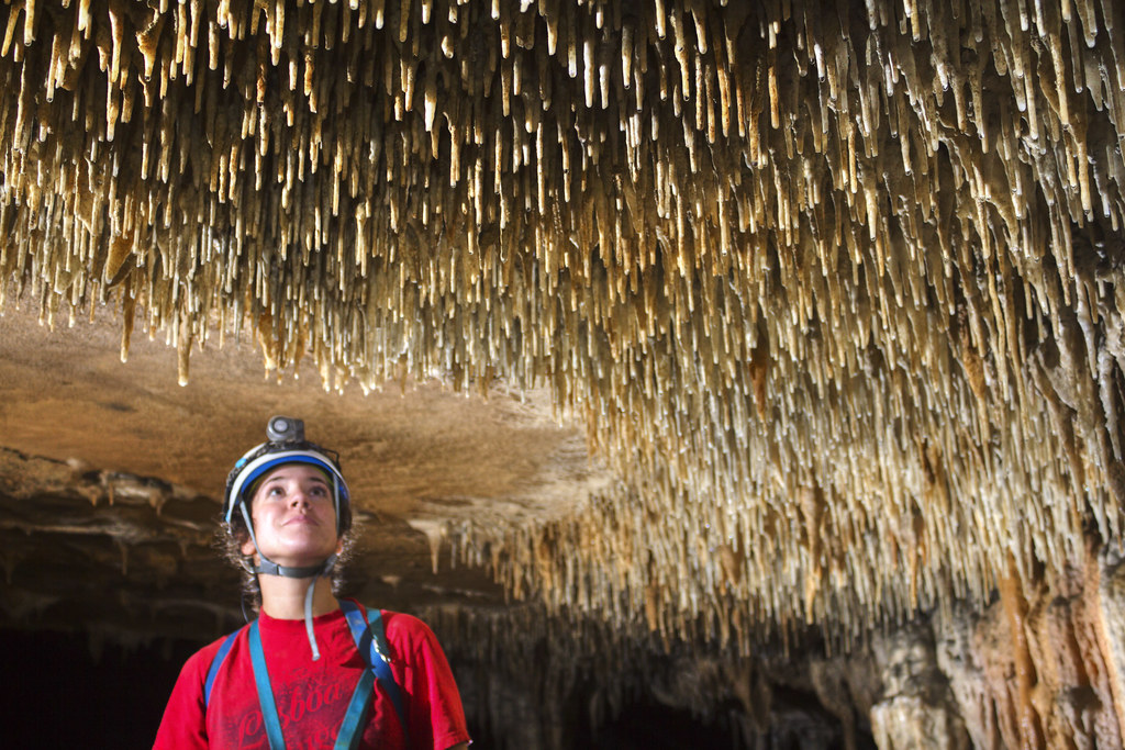 Soda straws, Katie Ingram, Rusty's Cave, Dade Co, GA Flickr