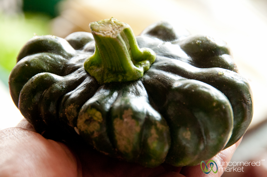 Mexican Squash Cozumel, Mexico A local variety of squash… Flickr