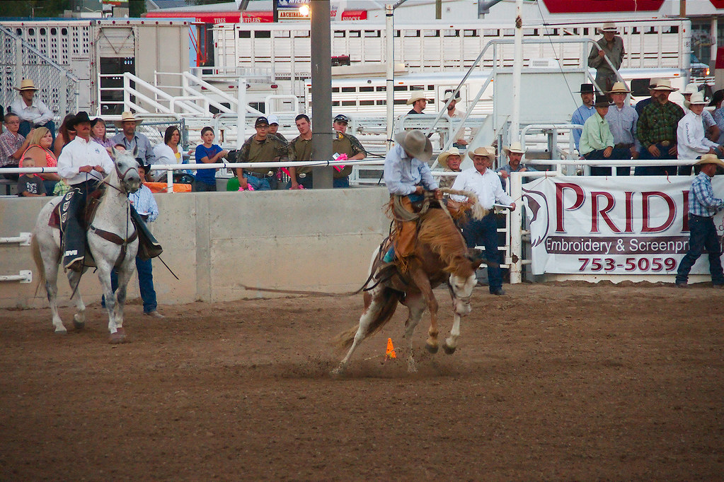 Bronc riding Golden Spike rodeo 2012, Tremonton, Utah M.R.B Photo