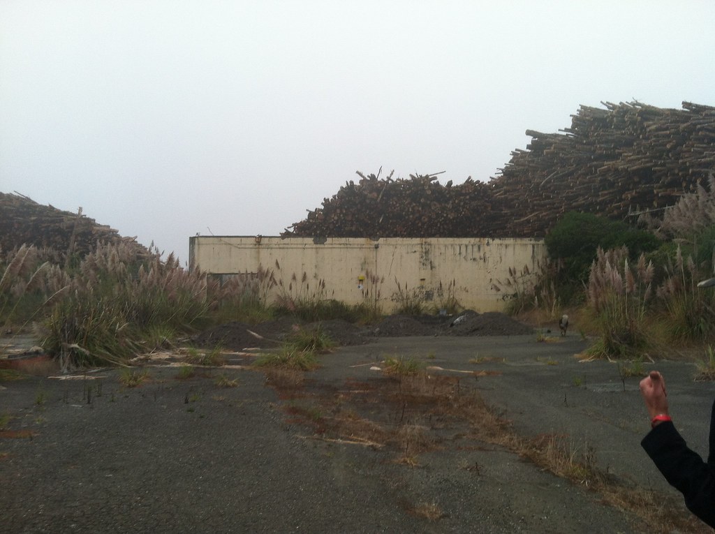 poop factory Dark Knight Massacre Flickr