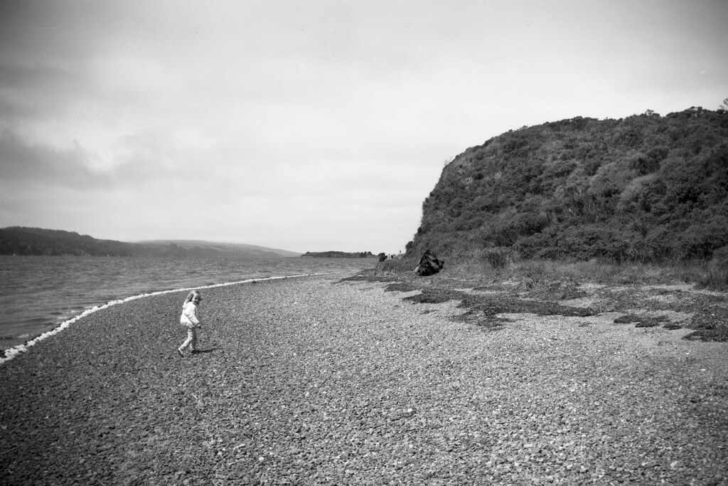 tomales bay michael chipman Flickr
