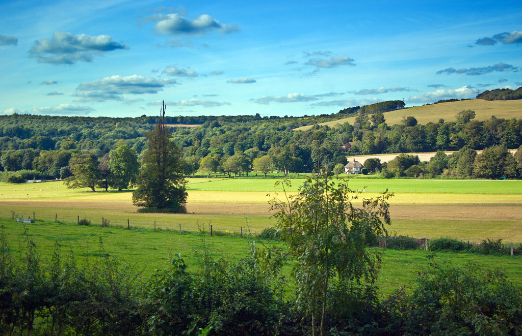 Sussex Weald The Weald and Downland Museum, West Sussex Geoff