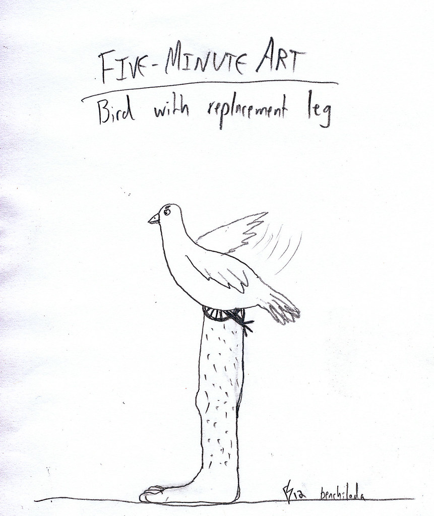 The Meaning Behind Bird Droppings Superstitions, Truths, and Reactions https