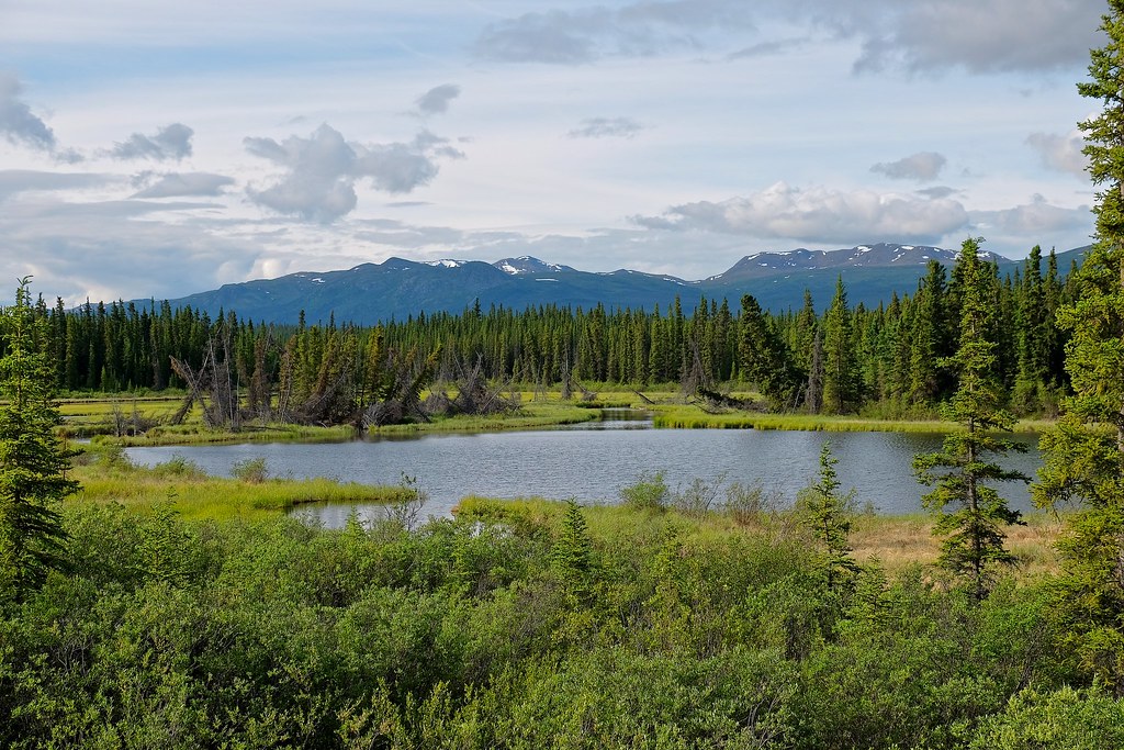 Fox Creek Outflow & Miner's Range Fox Creek Outflow & Mine… Flickr