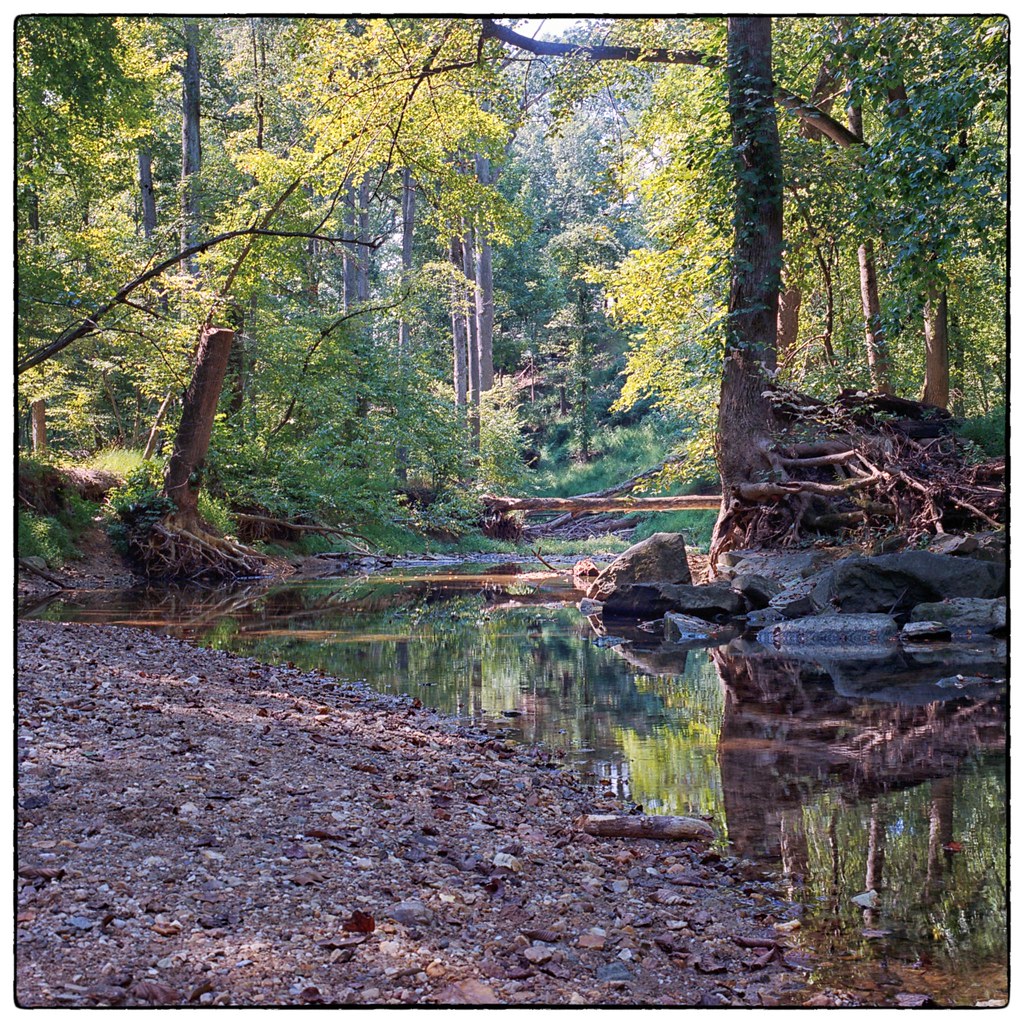 Summer Stream Cabin John Park, MD FujiFilm GF670 Pro K… Flickr