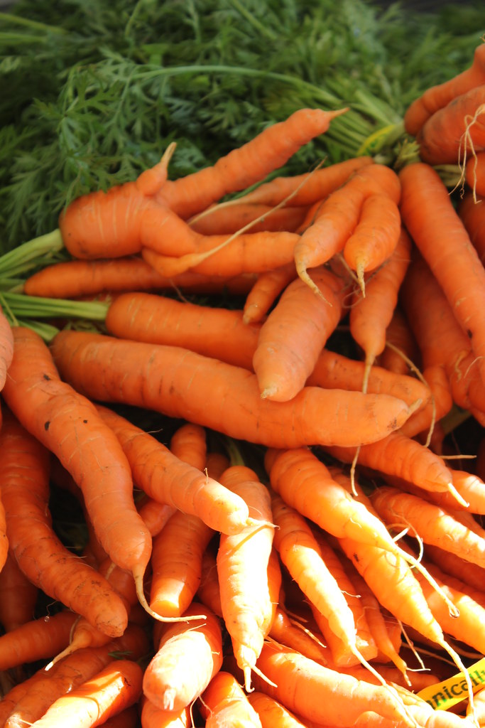 Minto Island Growers Organic Farm SALEM, Ore. Husband an… Flickr