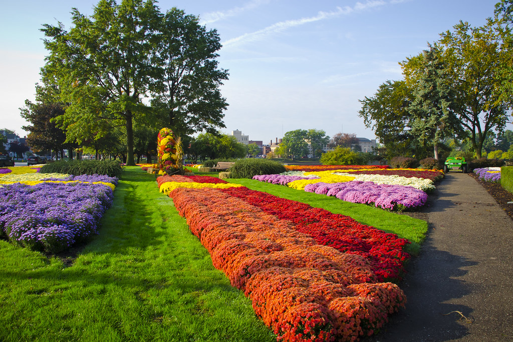 Mum Garden on Barberton's Lake Anna Visit the 2012 Mum Fesâ€¦ Flickr