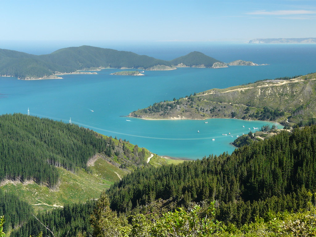 Port Underwood, New Zealand Port Underwood, South Island, … Flickr