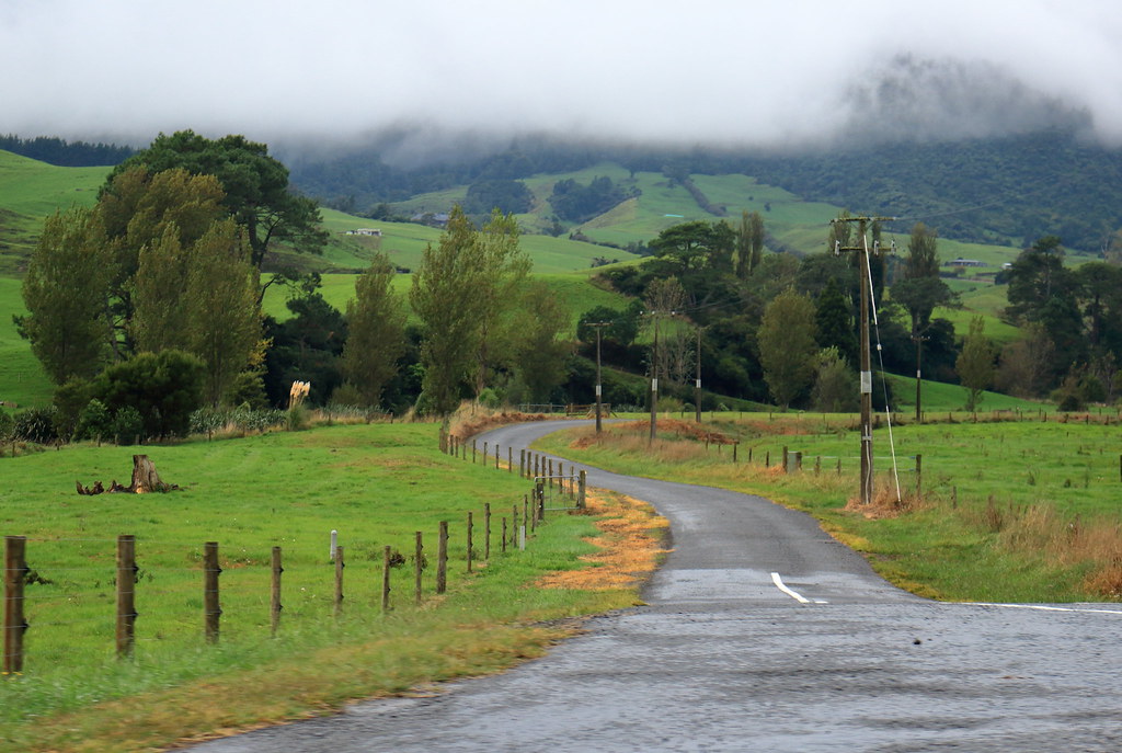 Narrow country road. Waikato NZ. "Explored" Margaret J. Flickr