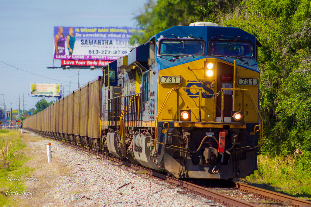 CSX O70107 (T80229) Land O' Lakes, FL 5718 tarellsallie Flickr