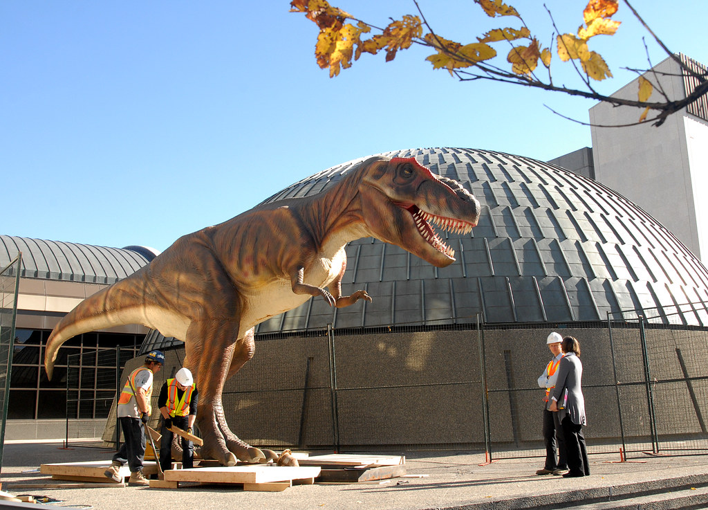 Giant TRex Going Up at the Manitoba Museum for the Dinosa… Flickr