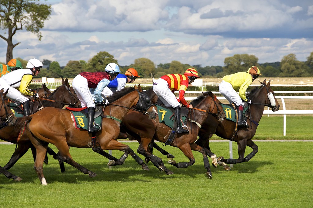HDR Style Horse Racing Photo Copyright free horse racing p… Flickr
