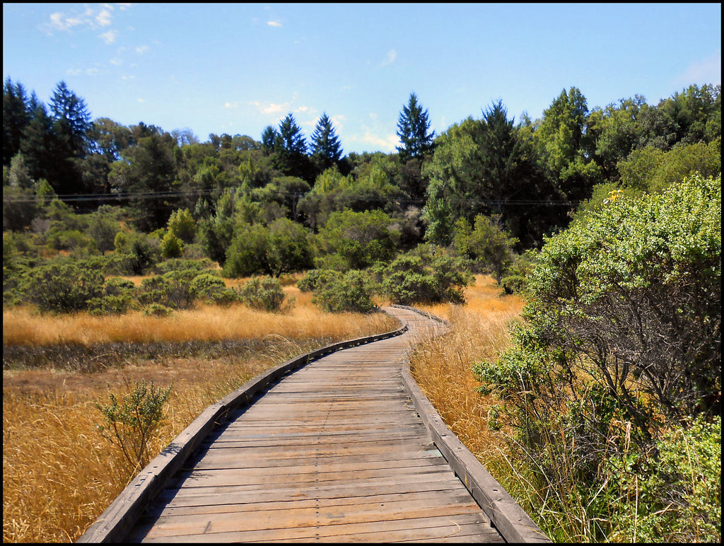 Bullfrog Road stroll Visit this Trip on Transit & Trails Transit