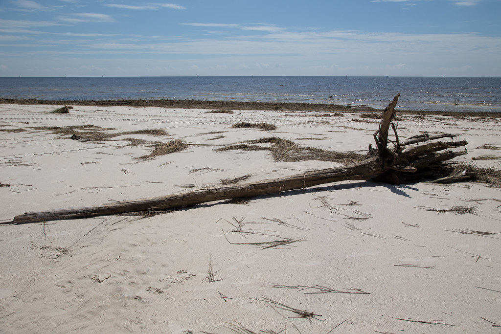 Elevation of Lyman, MS, USA Topographic Map Altitude Map