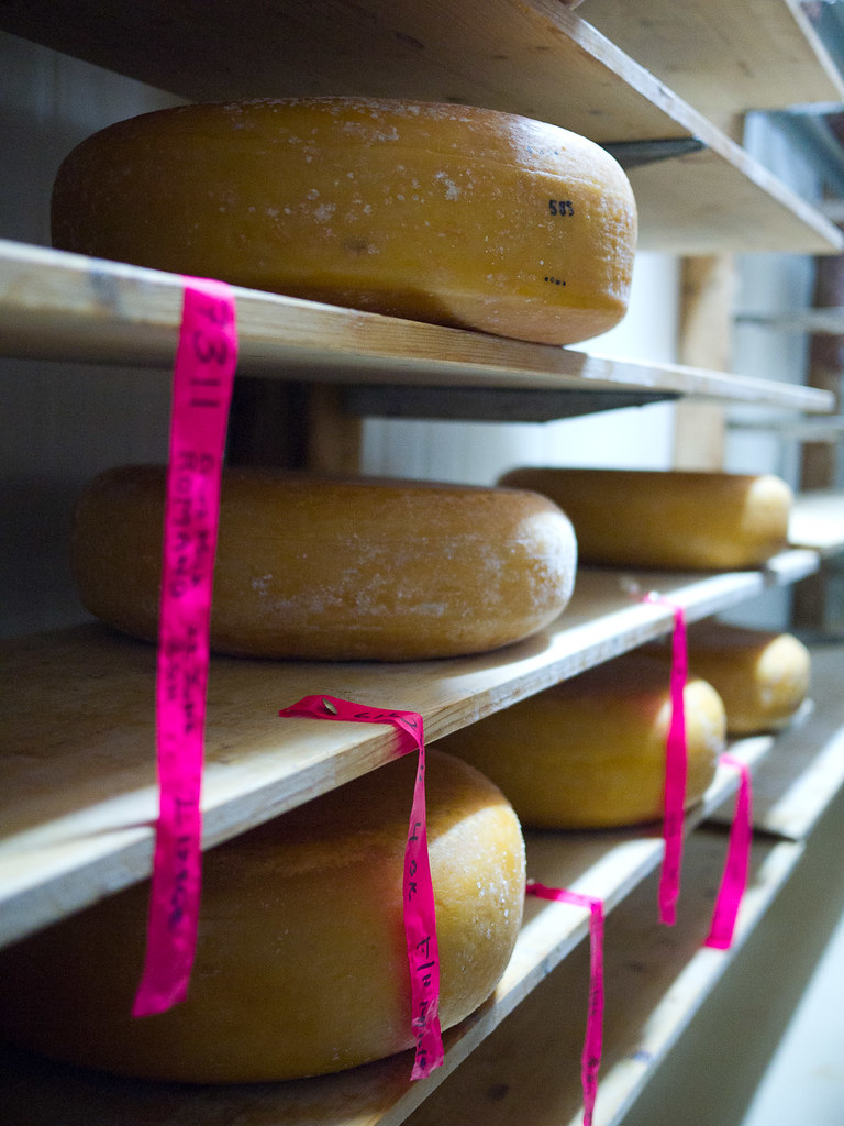 In the cheese room Cambray Sheep Cheese, Nannup. The Food