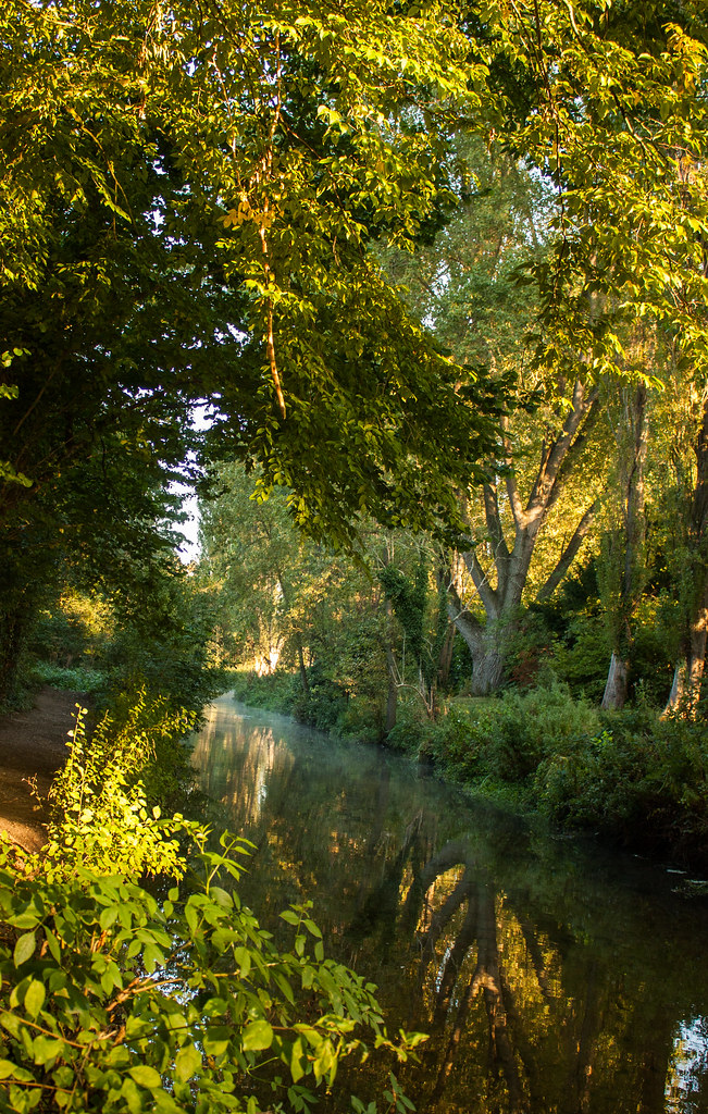 Early in the morning, just as the day is dawning! I actual… Flickr