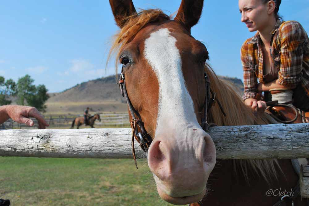 Paradise Valley Ranch Pat (Cletch) Williams Flickr