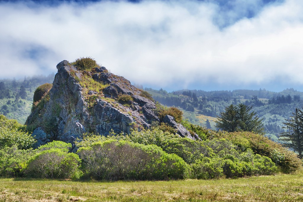 McVay Rock State Recreation Site. Highway 101, Brookings, … Flickr