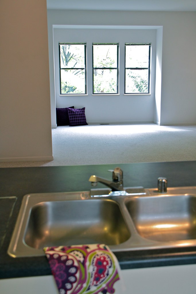 117 Dayton Row, Madison, WI Sprinkman Real Estate presents… Flickr