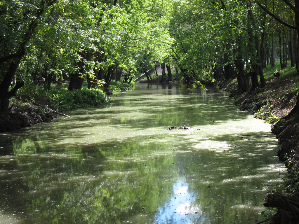 IMG_2265 Embarras River Camargo, Illinois. devianb Flickr