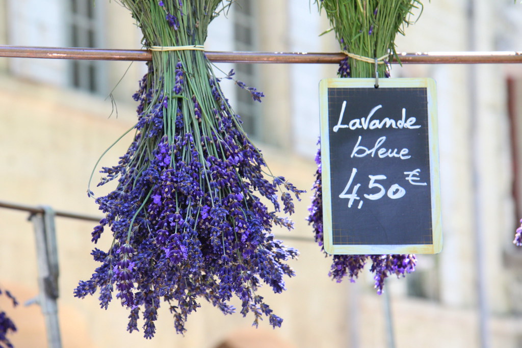 Fresh Lavender for sale janlichterman Flickr