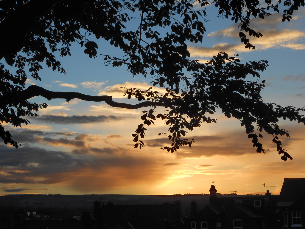 Rose Hill Sunset A couple of shots of a striking autumn su… Flickr