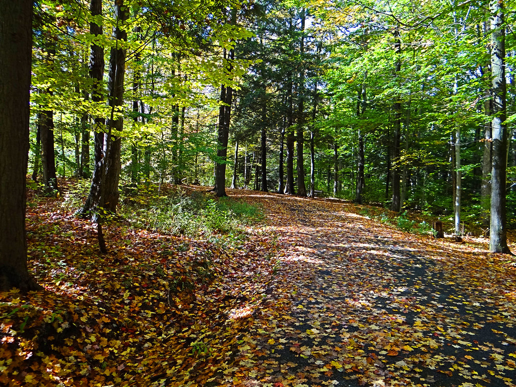 Picnic area Sherrill Brook park cold and damp today Ojiisan44 Flickr