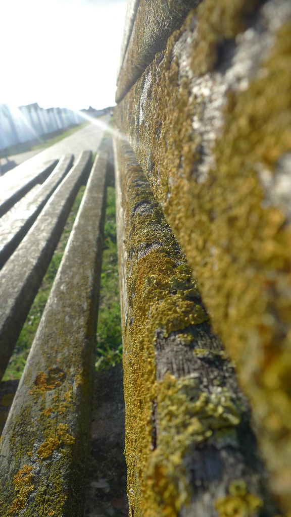 Bench GoringbySea Miasiena Flickr