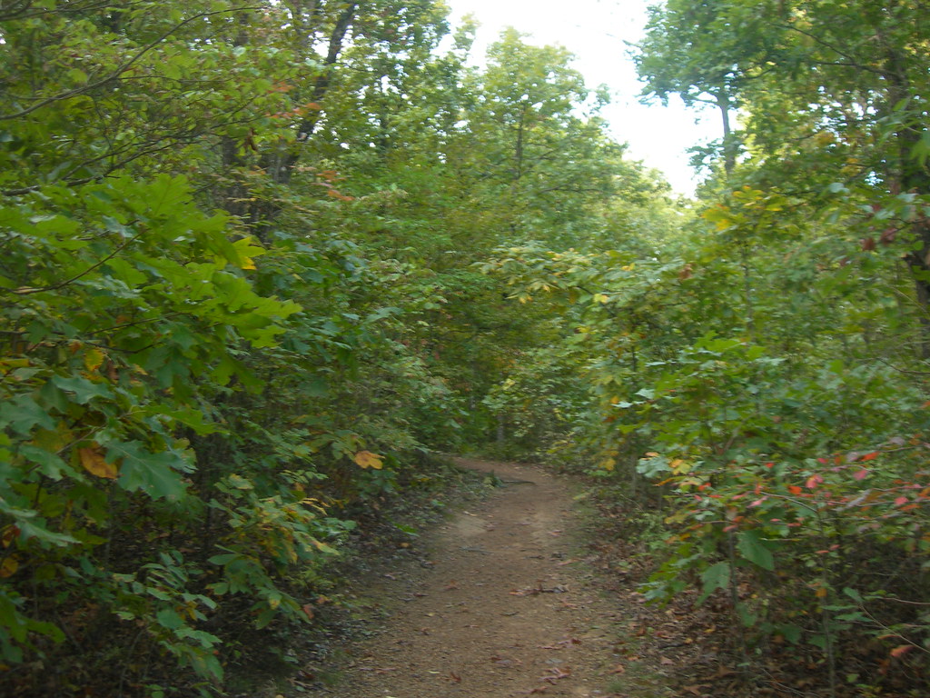 Signal Hill Trail Mt Magazine State Park, Arkansasleadin… Flickr