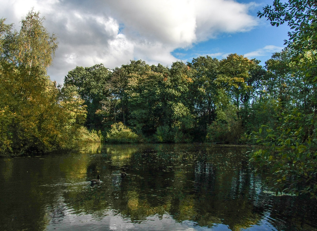Fish Pond at Harrisons Reserve, Lambourne Drive, Wollaton … Flickr