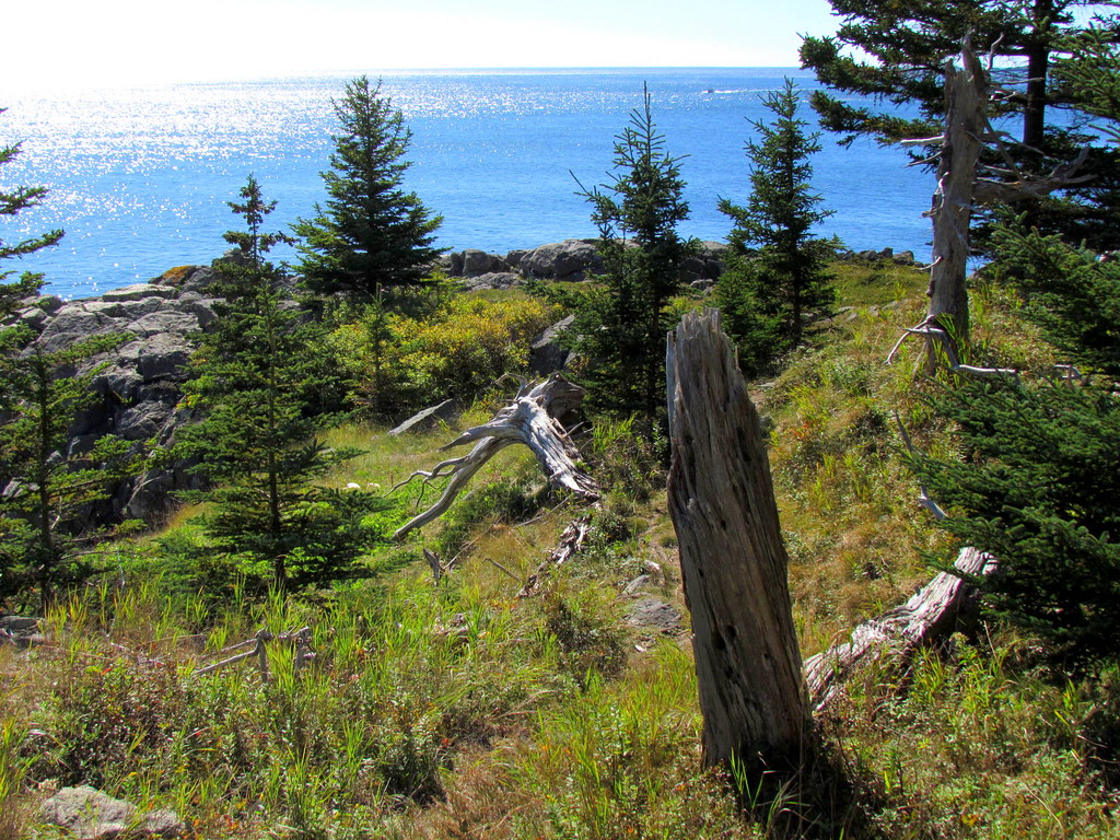 Western Head Preserve Cutler, Maine VW Beetle Flickr