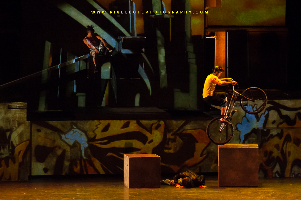 KIVL0455 Rose Joy Kivellote Flickr