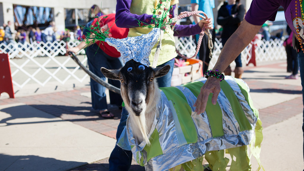 Krewe of Barkus and Meoux Pet Parade, Shreveport, LA Flickr