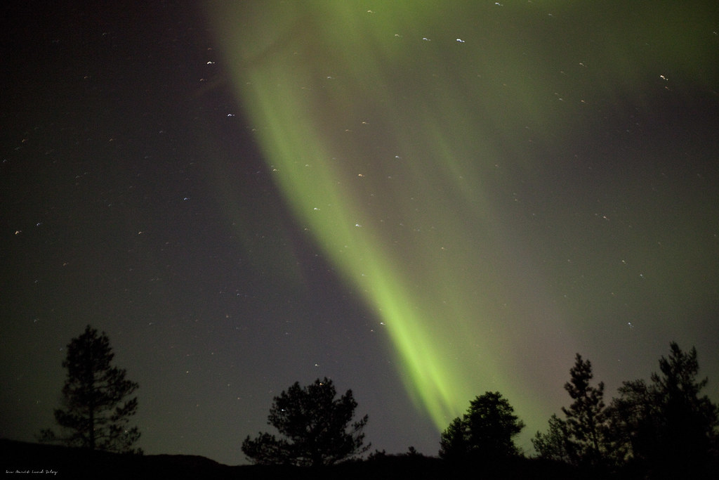 Northern Light This is my first pictures of the northern l… Flickr