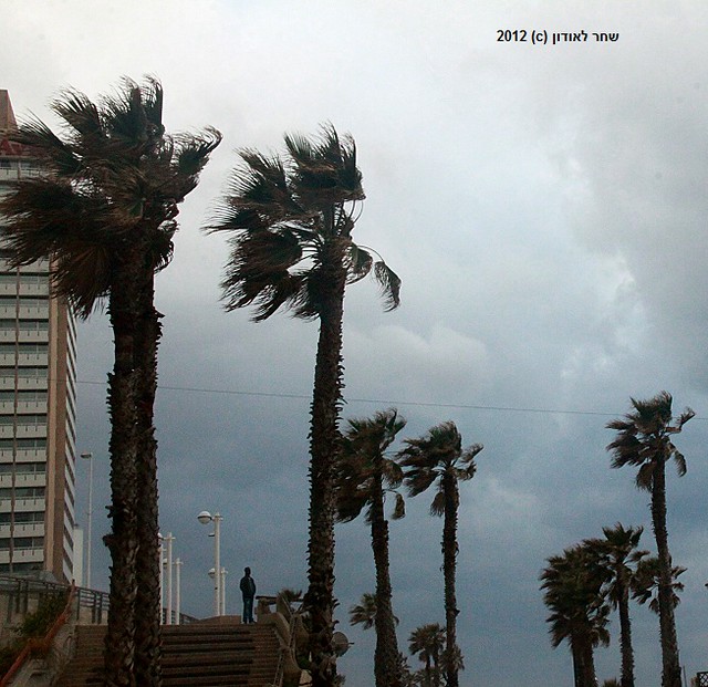 Winter in Tel Aviv, Israel, March 2012 ,חורף בתל אביב Flickr