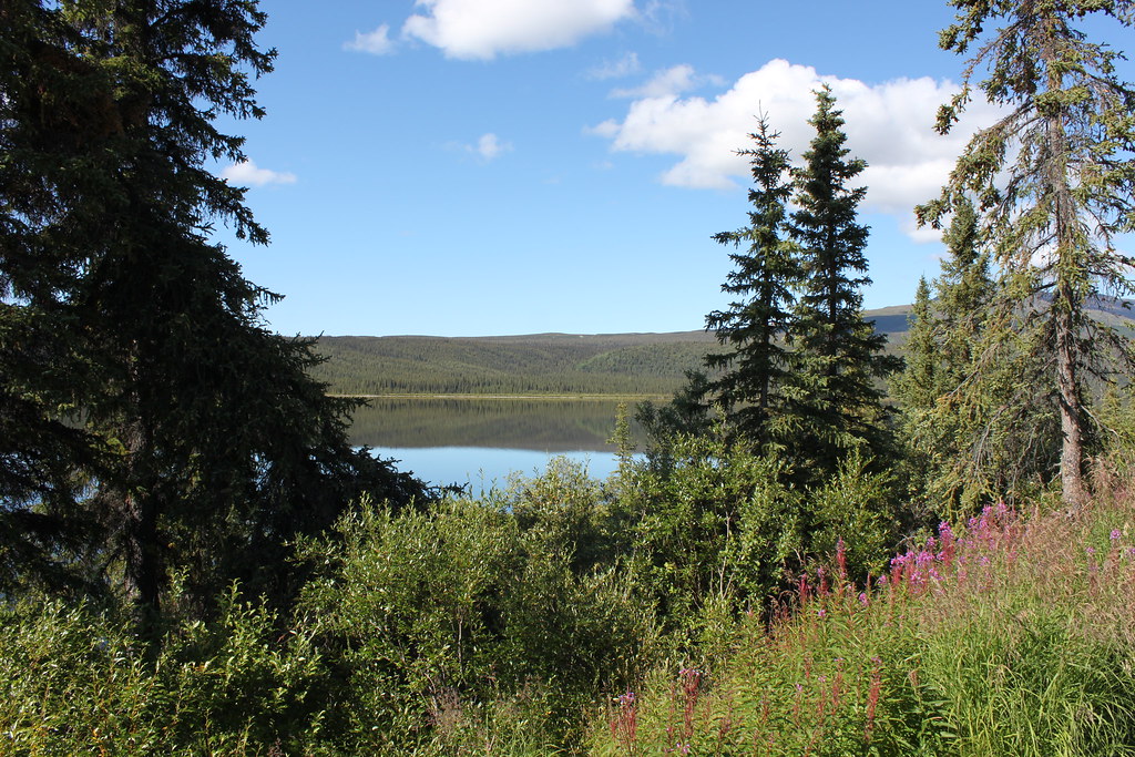 Paxson Lake Marc Hagen Flickr