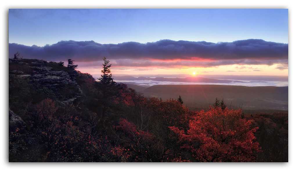 Elevation of Maysville, WV, USA Topographic Map Altitude Map