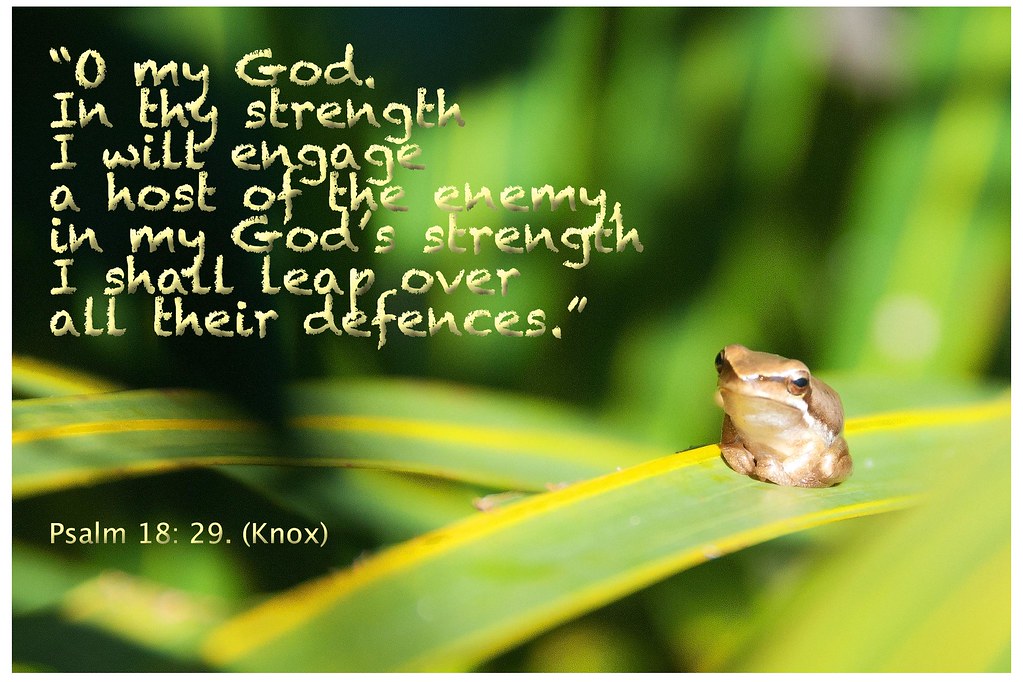 leap over a wall From the Knox translation of the Holy Bib… Flickr