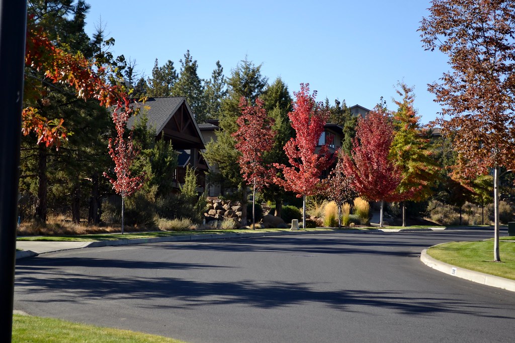 Another Autumn day with COOL kids at Upland Sawyer Park by… Flickr