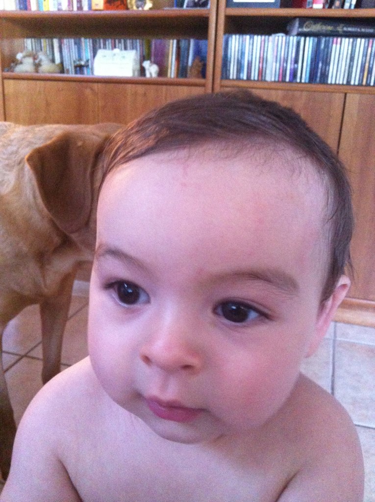 and it is fun to play with his hairstyles Zoe Flickr