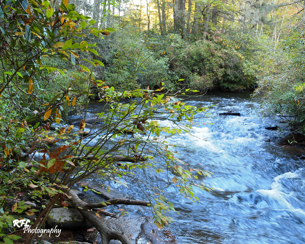 Dupont State Park Fall in the NC mountains, Dupont State P… Flickr