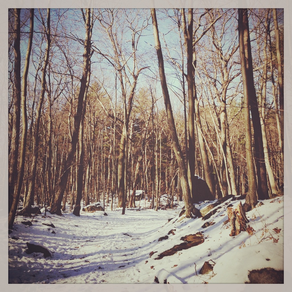 Blue Hills Reservation. Snowey hike in Blue Hills, Ma. Flickr